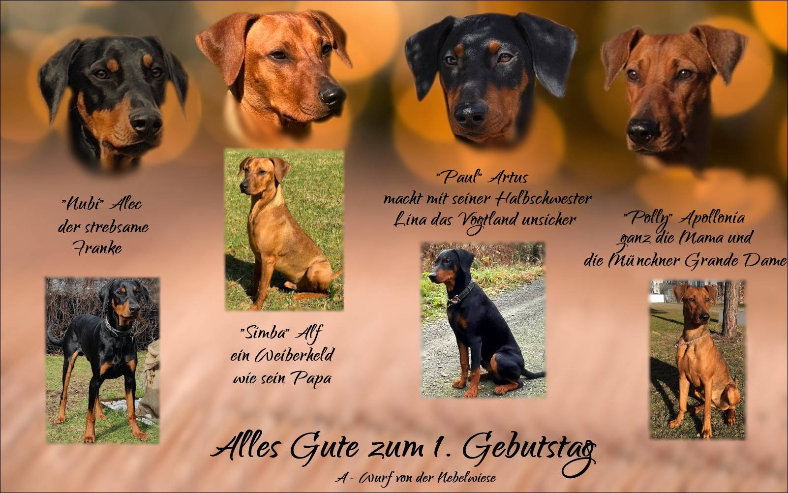 ersterGeburtstag